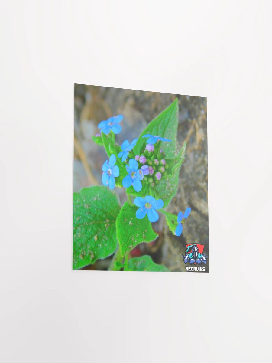 Flower Poster product image (3)