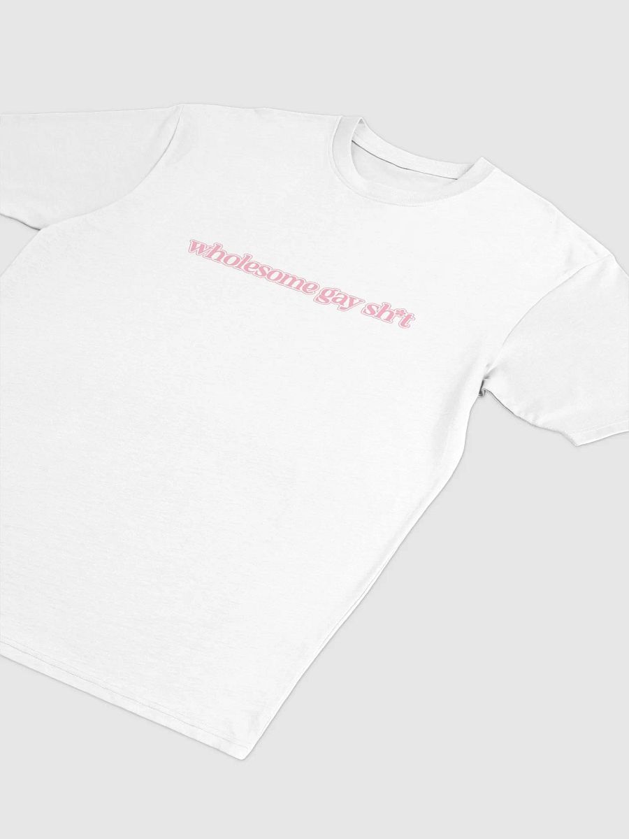 Wholesome Gay T product image (2)