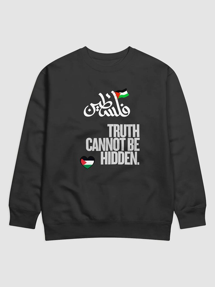 Palestinian Truth Statement Sweatshirt | Truth cannot be hidden product image (2)