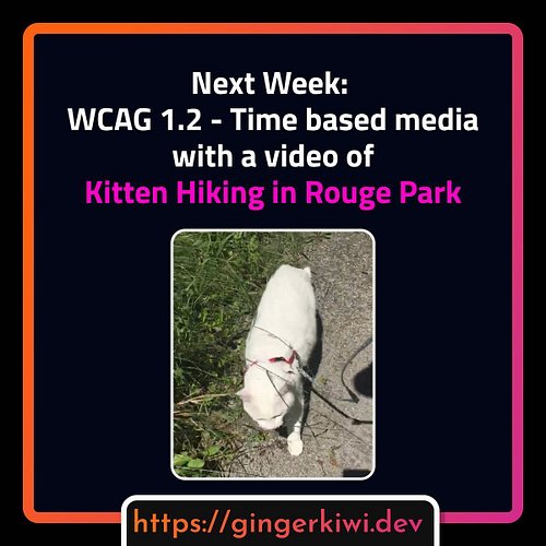 Stay tuned next Wednesday to learn about WCAG 1.2 - Time based media and see a video of
Kitten hiking in Rouge Park on Canada...