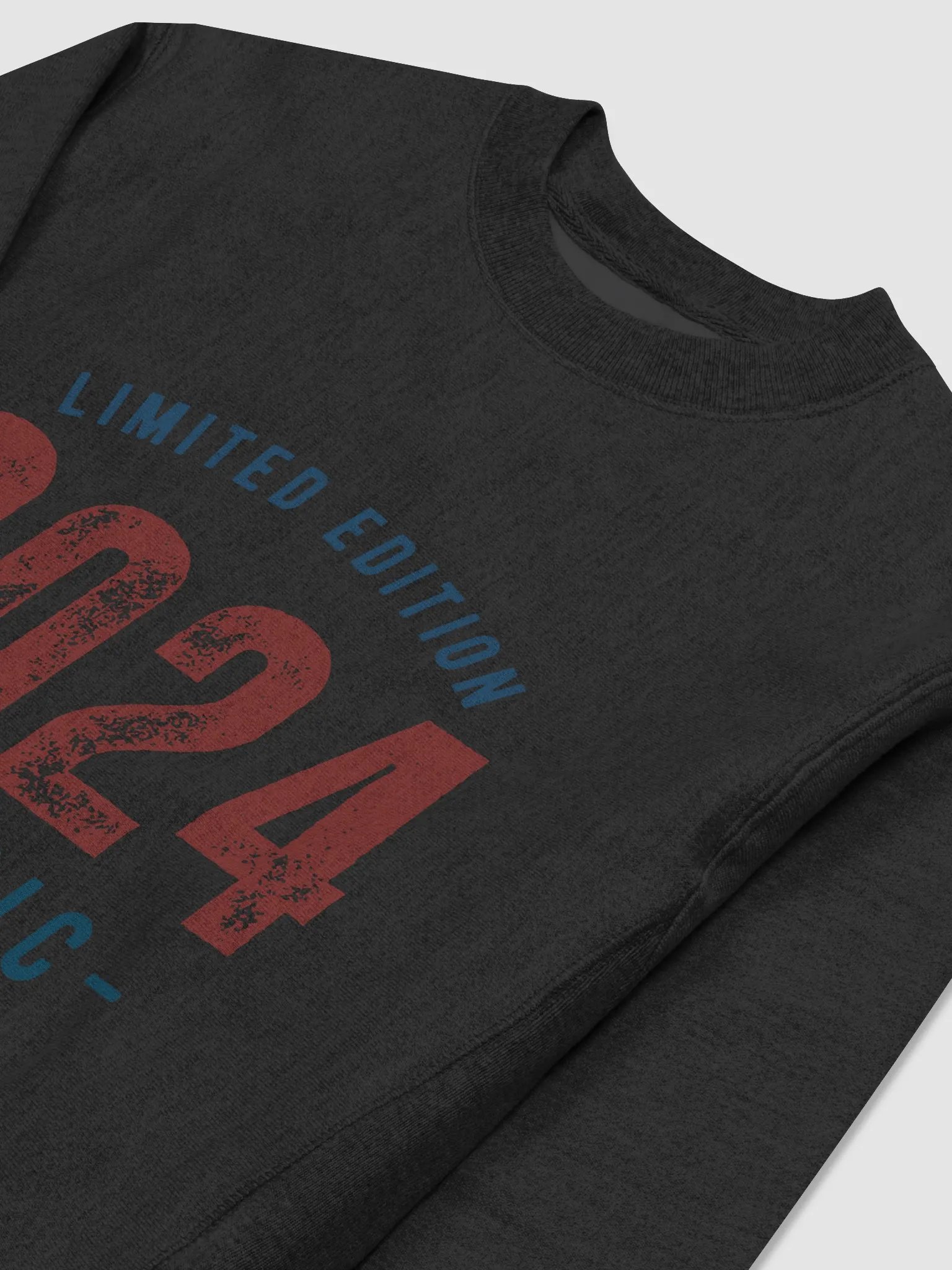 'Limited Edition 2024 Classic' Champion Sweatshirt product image (3)