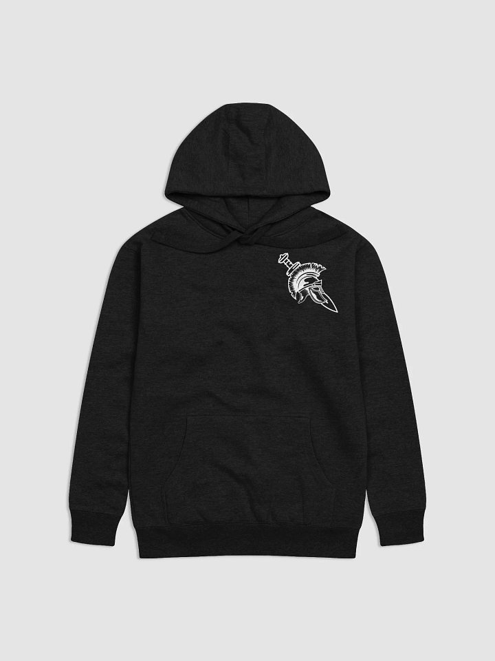 House Aegis | Hoodie product image (1)