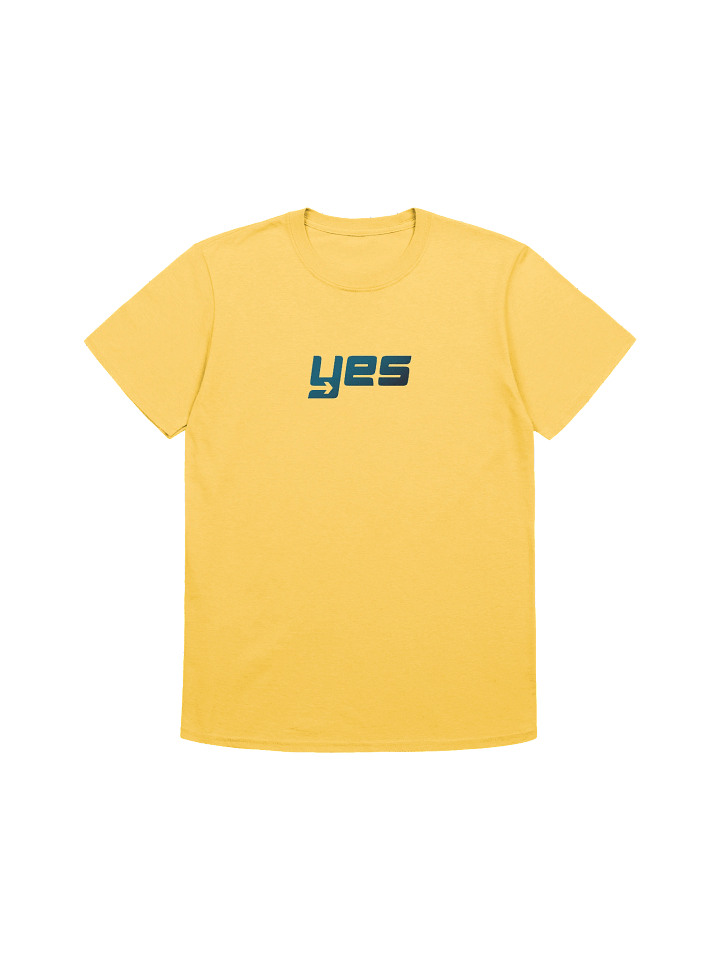 Say YES to what God has next product image (1)