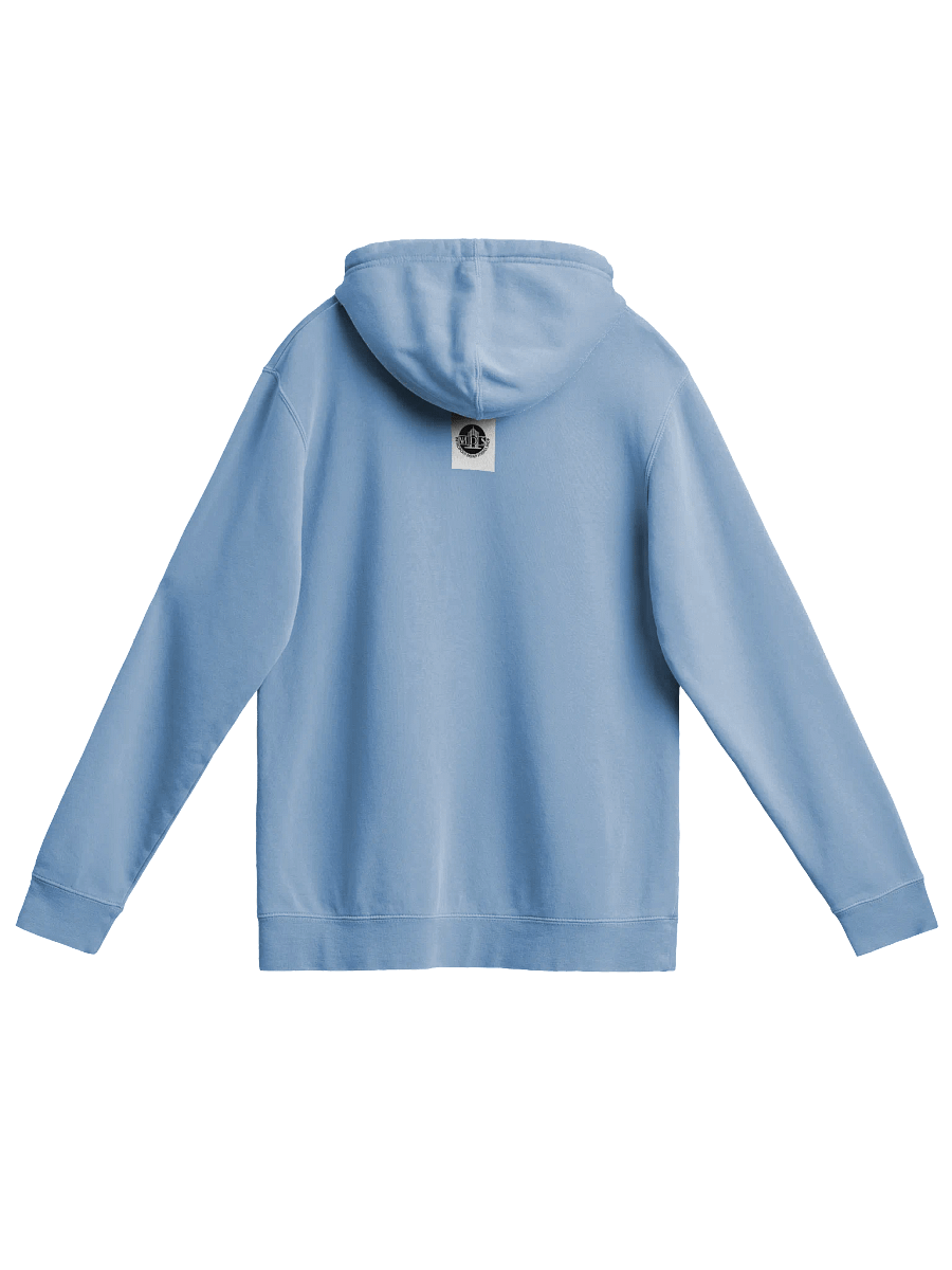 Hatching an Egg-cellent Scheme - Humorous Easter Hoodie product image (2)