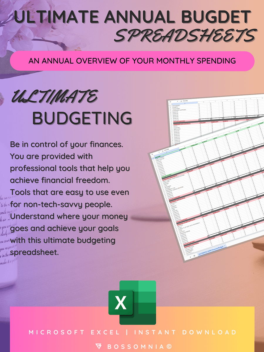 [Microsoft Excel] (ULTIMATE) Financial Budgeting Spreadsheet product image (6)