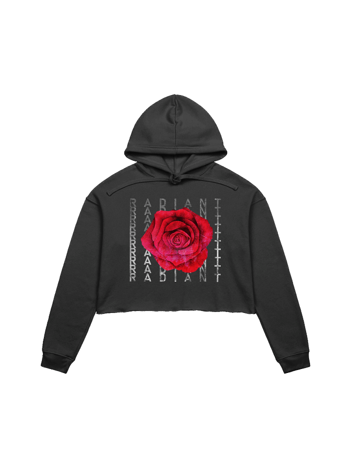 Radiant Grunge Cropped Hoodie product image (1)