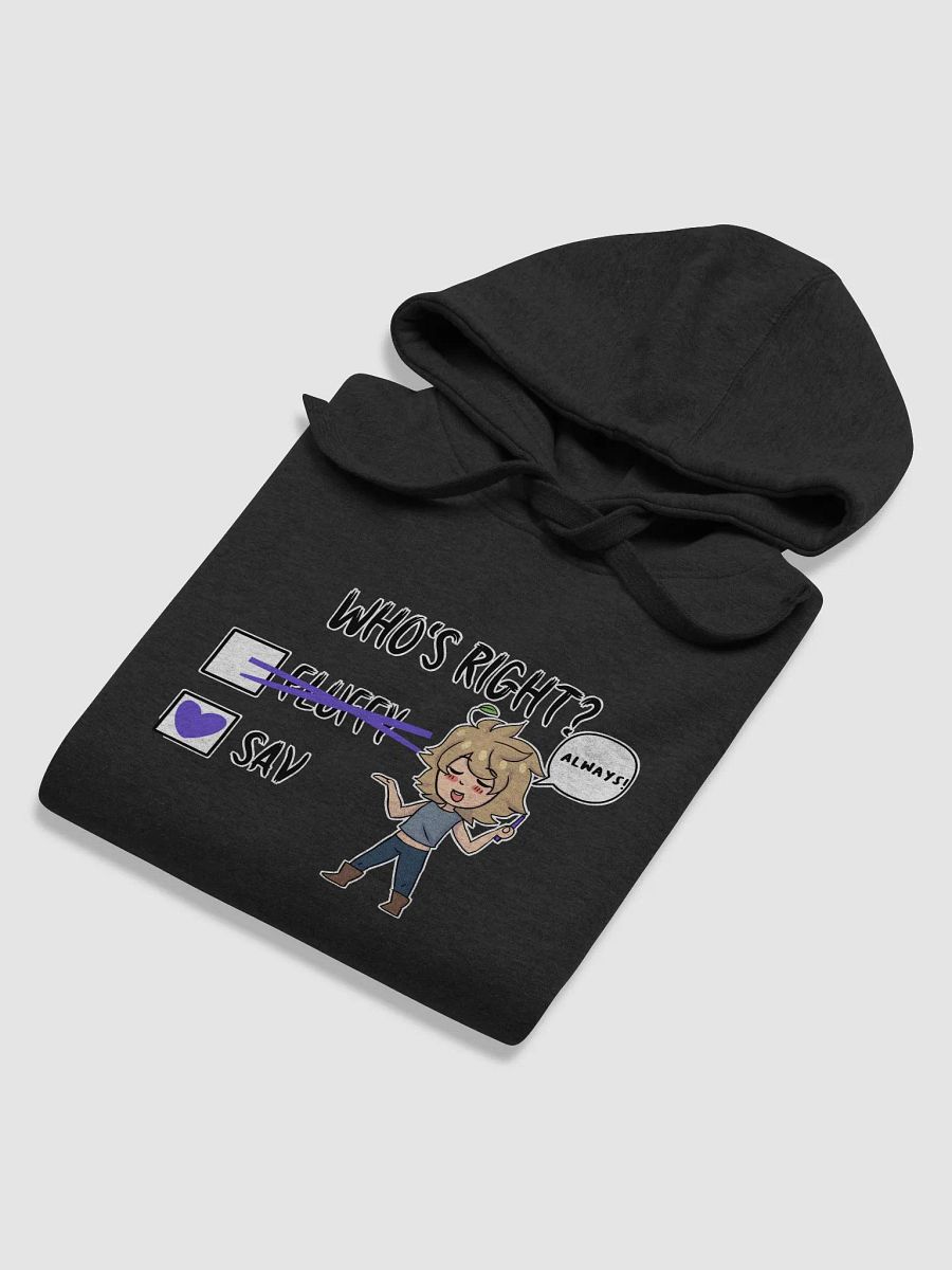 #SAVISRIGHT Hoodie product image (6)