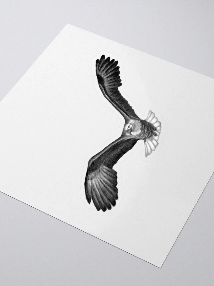Eagle Drawing Sticker product image (7)