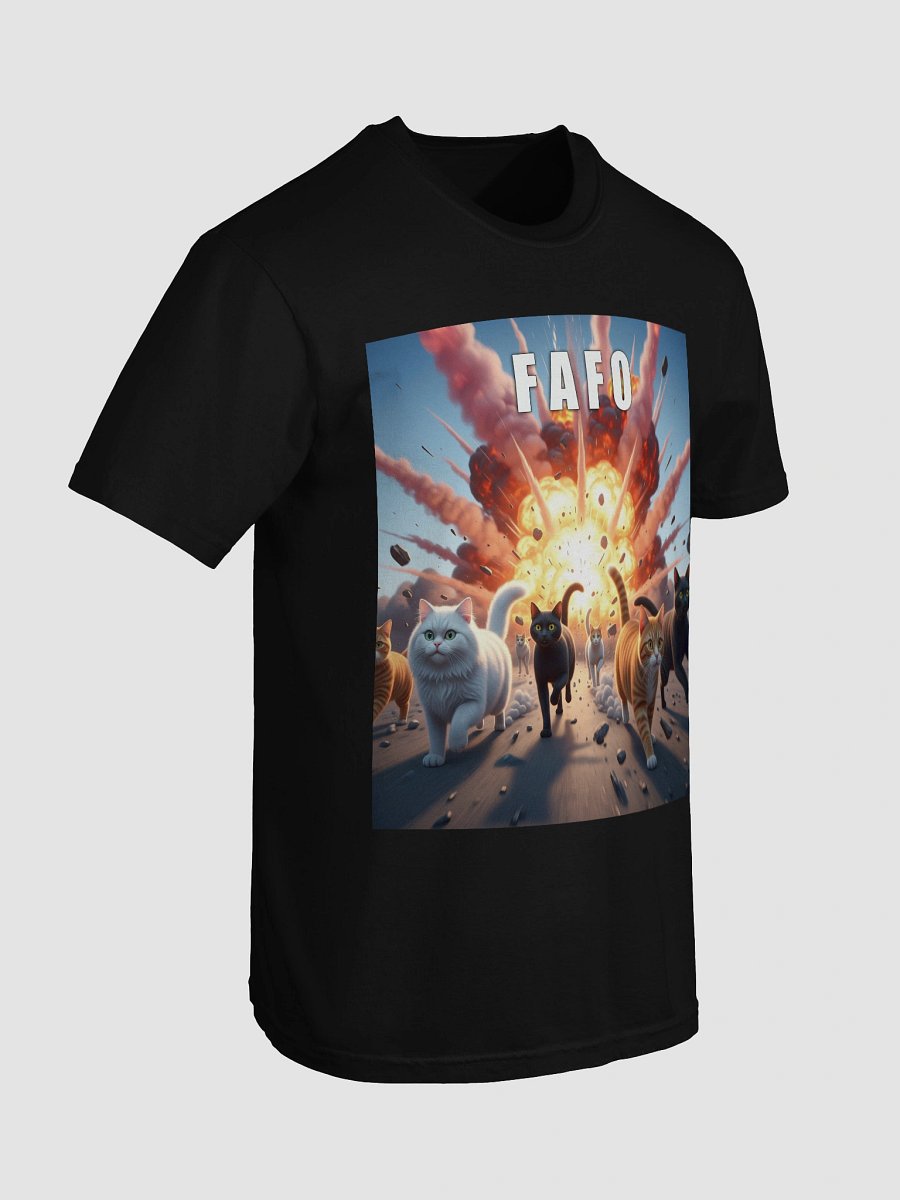 FAFO cat t-shirt product image (56)