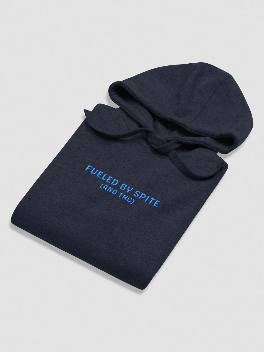 FUELED BY SPITE (aqua thread) embroidered heavyweight hoodie product image (8)