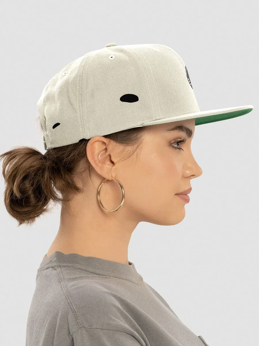 Bitag Retro Vibes Snapback Cap product image (3)