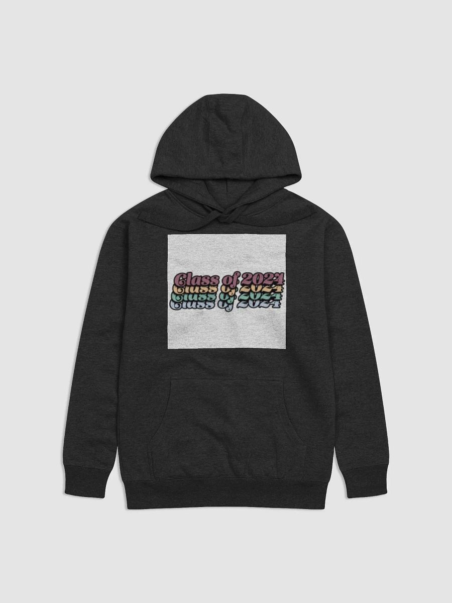 Class of 2024 Premium Unisex Hoodie product image (1)