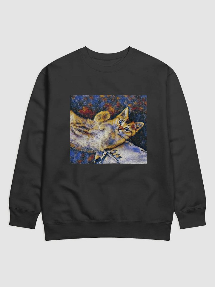 Toby's Signature Sweatshirt product image (1)