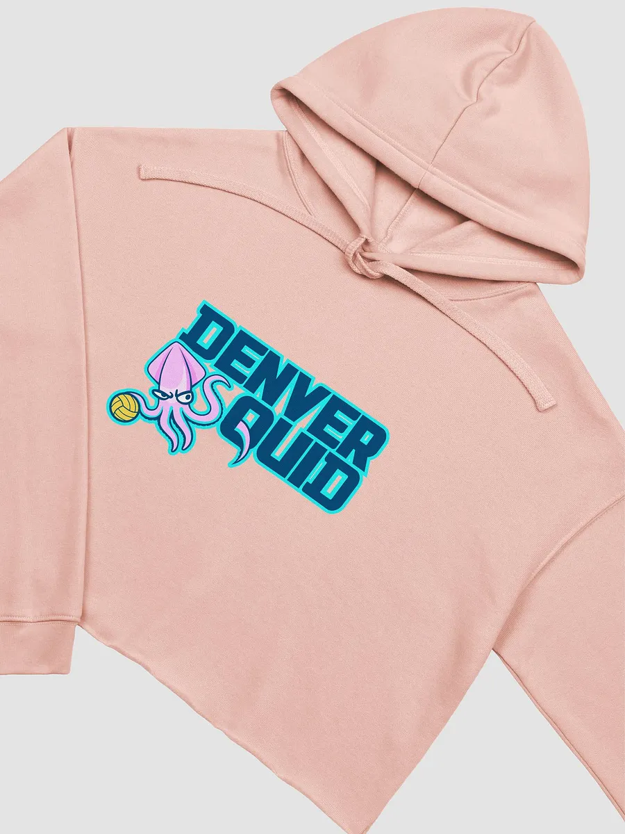 Crop Hoodie - POLO product image (3)