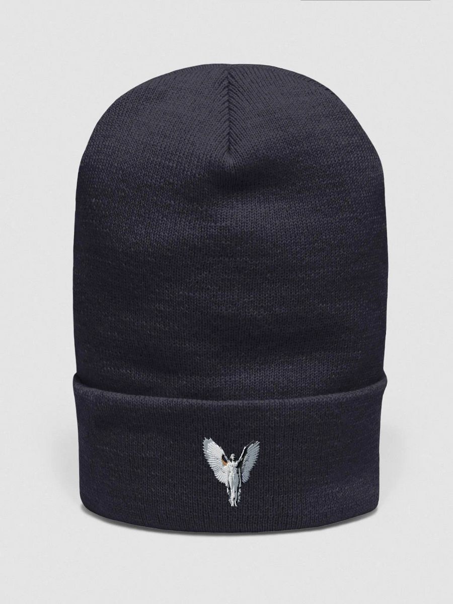 Angelic Wings Knit Beanie product image (1)