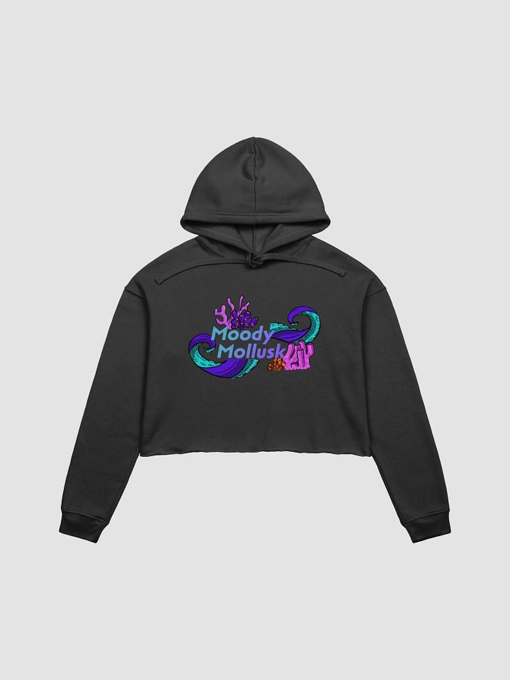 Moody Cropped Hoodie!! product image (1)
