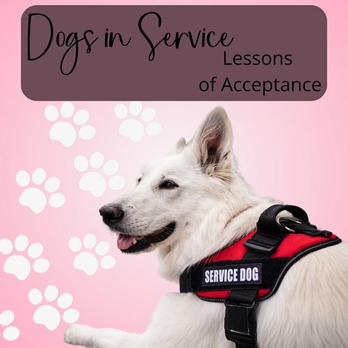 New blog post alert! Today let's chat about the amazing world of service dogs (including therapy dogs and emotional support d...