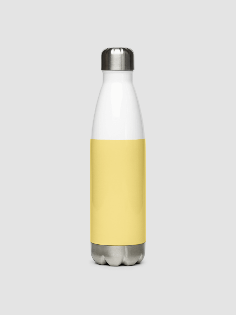 Stainless Steel Water Bottle -2 product image (4)