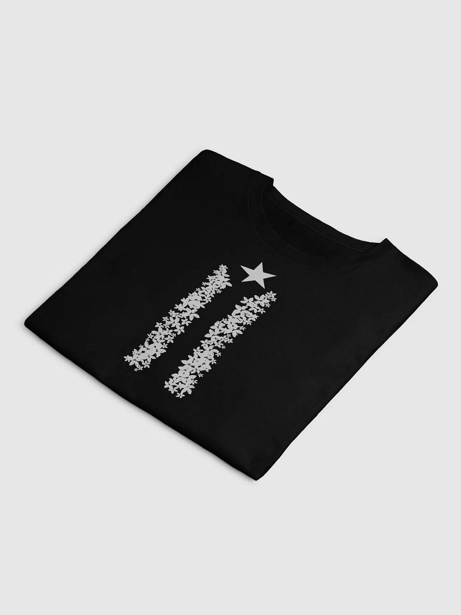 Bandera Negra Crop Top product image (3)