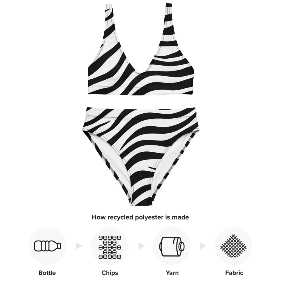 Cool Zebra Bikini product image (5)