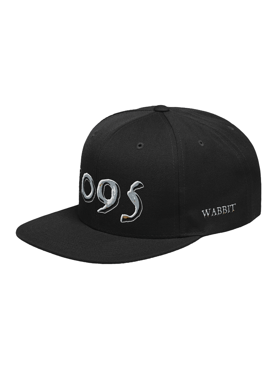 1095 Cap product image (3)