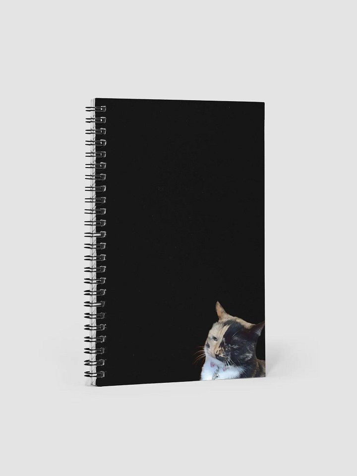 Sus Lyra Notebook product image (1)