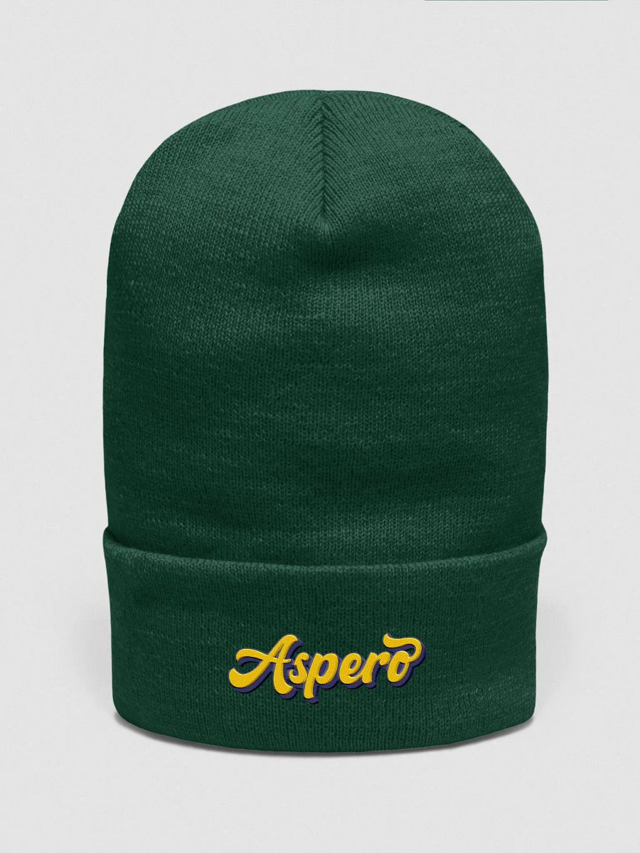 Aspero Yupoong Cuffed Beanie Y/B product image (37)