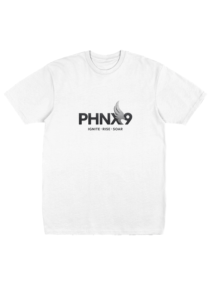 PHNX9 - Men”s Premium Heavyweight Tee product image (1)