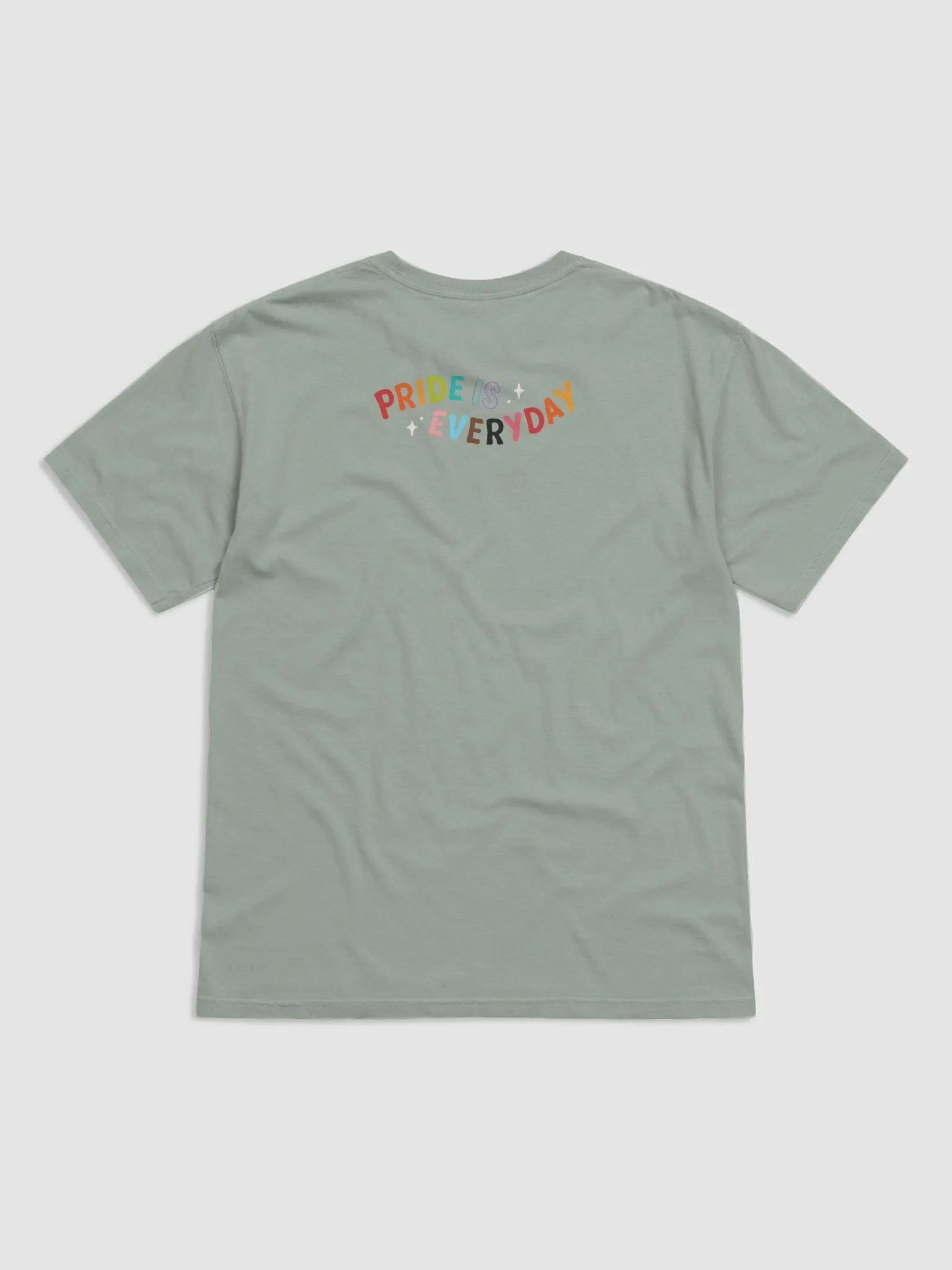 Pride Is Everyday T product image (2)