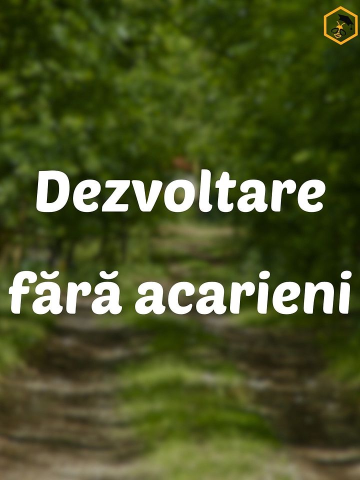 Dezvoltare fără acarieni product image (1)