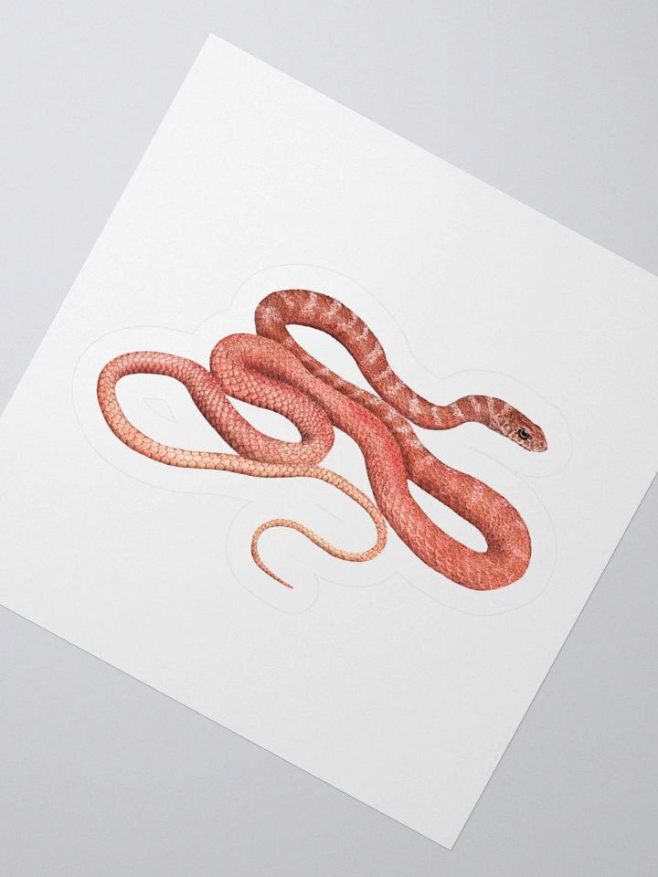 Die-Cut Sticker – Red Racer product image (2)