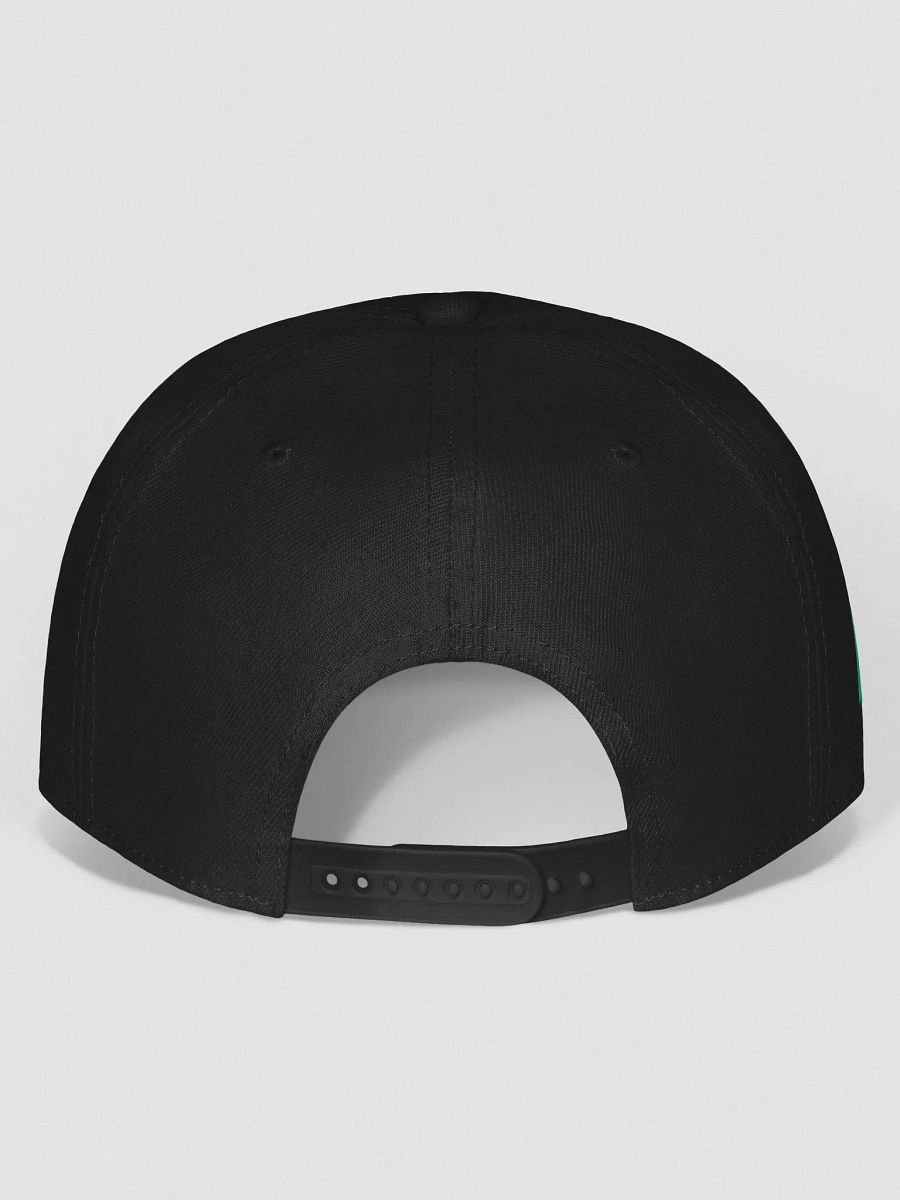 Tejas Block Snapback Hat product image (4)