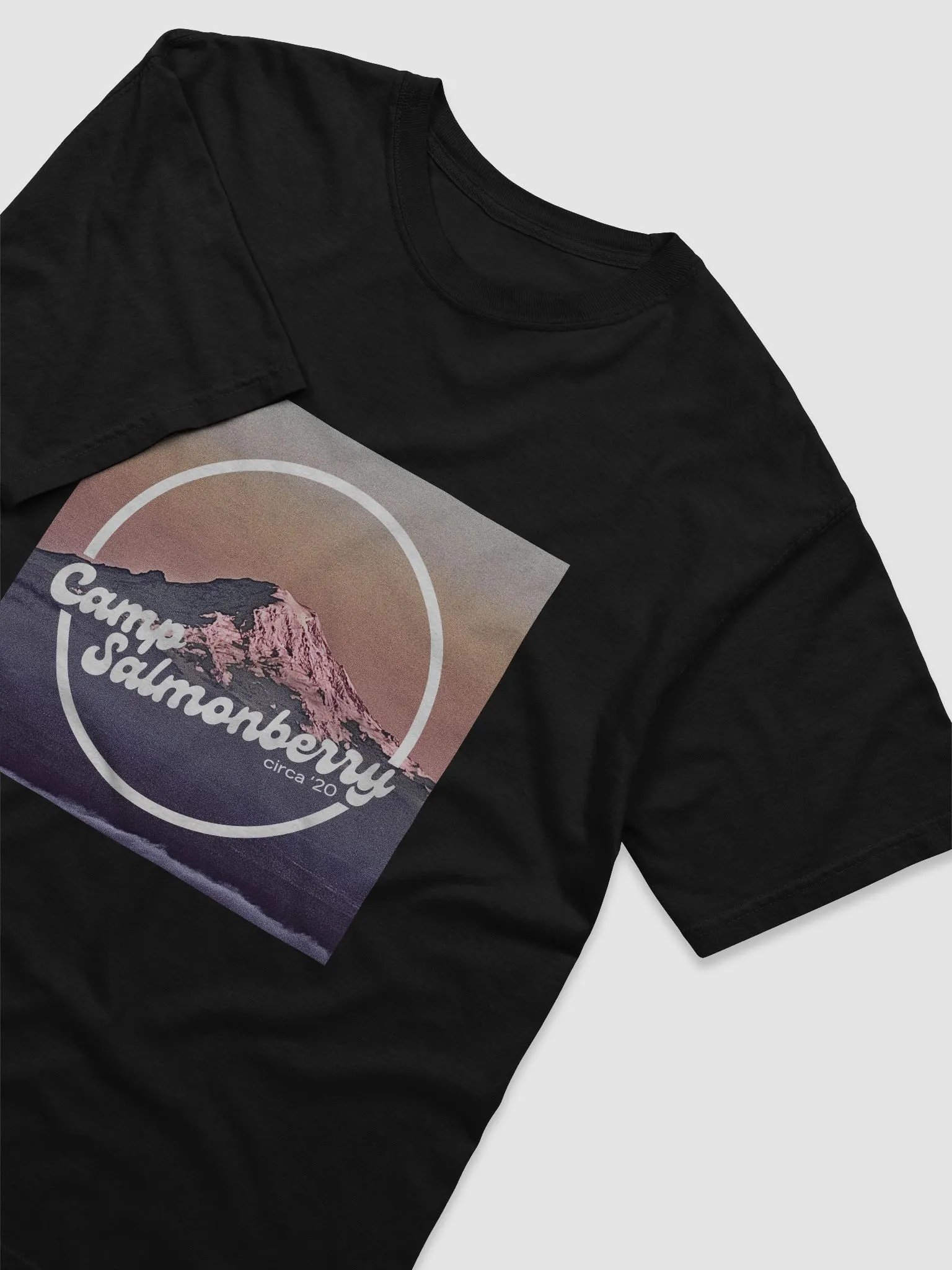 Camp Salmonberry Band Tee product image (14)