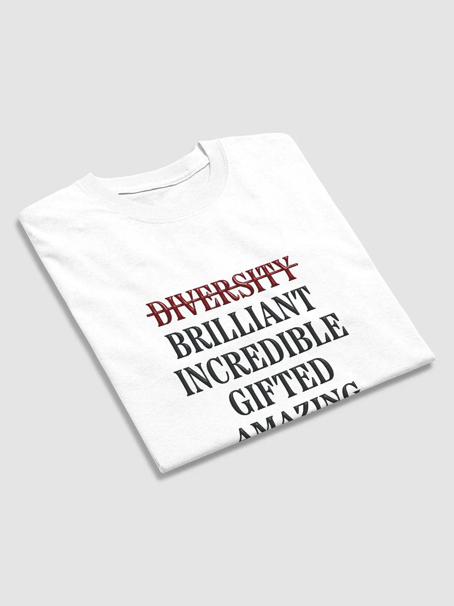 More Than a Diversity Hire product image (3)