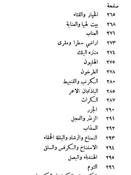 نزهة الانام في محاسن الشام ( طباعة عام 1922 ) product image (10)