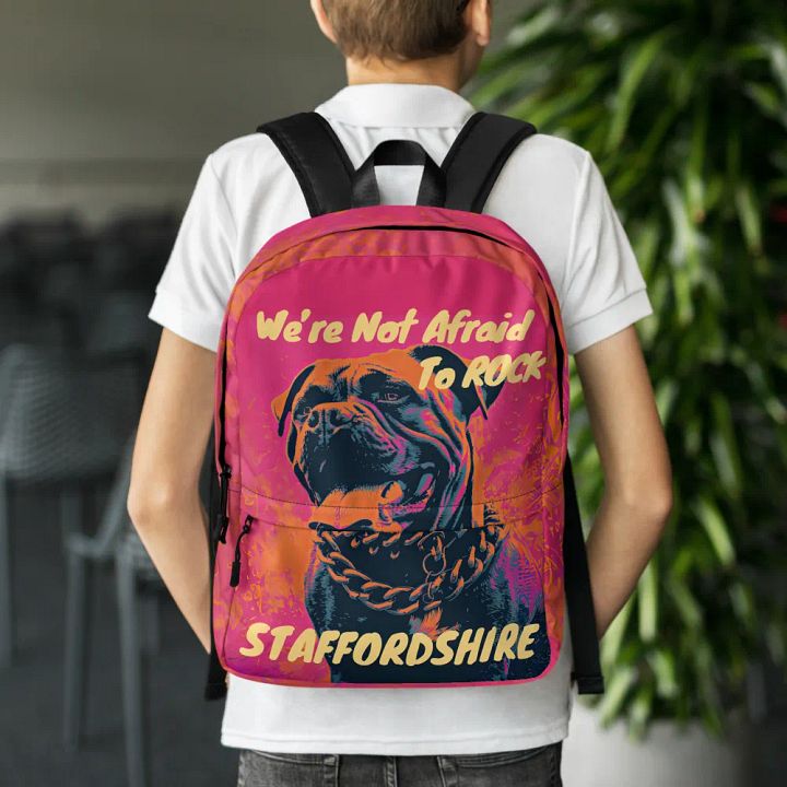 We're Not Afraid To Rock Staffordshire Hoodie product image (1)