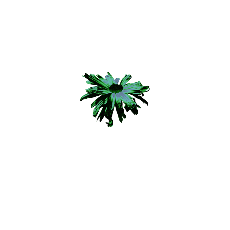 Abstract Green Floating Daisy product image (6)