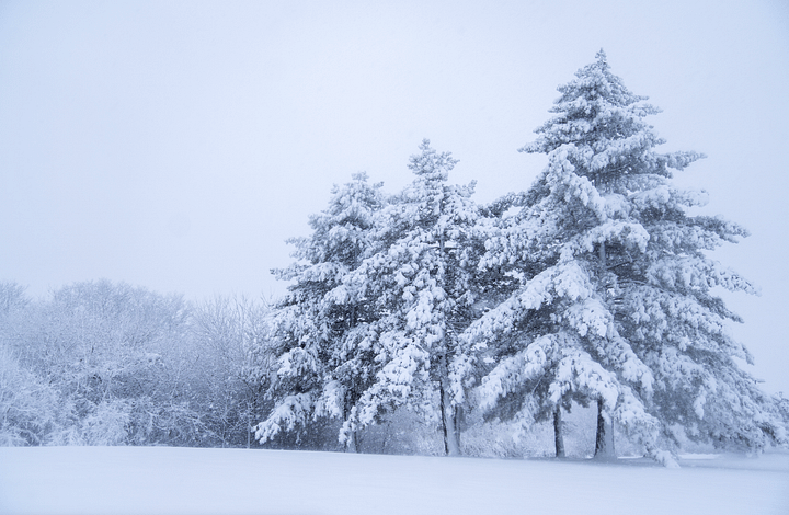 Snow Place Like Home product image (1)