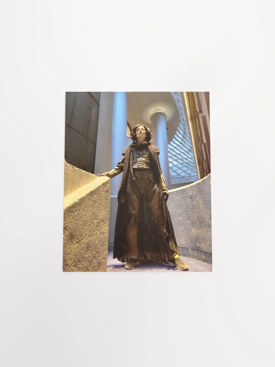 Dune Cosplay Print product image (4)