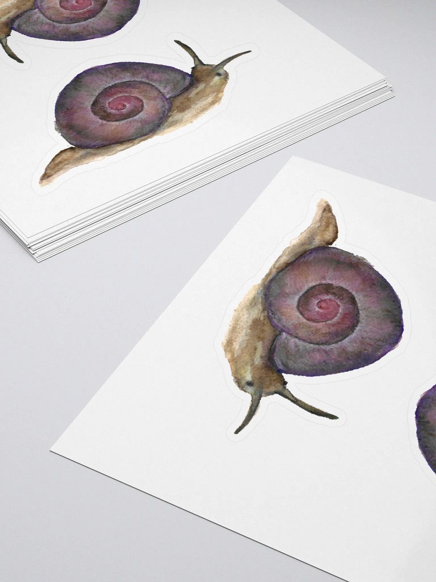 Snail (Helicina wettsteini) sticker product image (4)