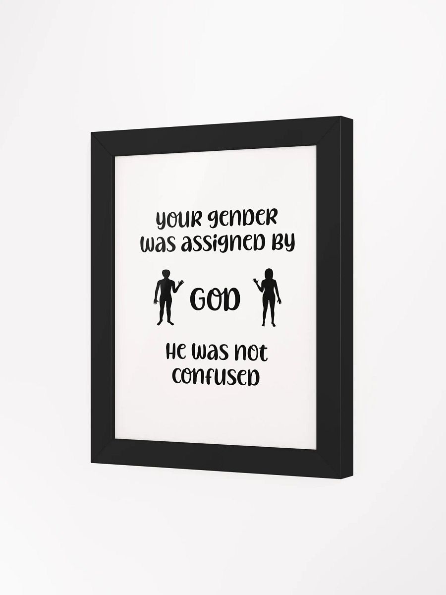 Your Gender Was Assigned by GOD. Eco-Friendly Ayous Wood Framed Matte Poster product image (22)