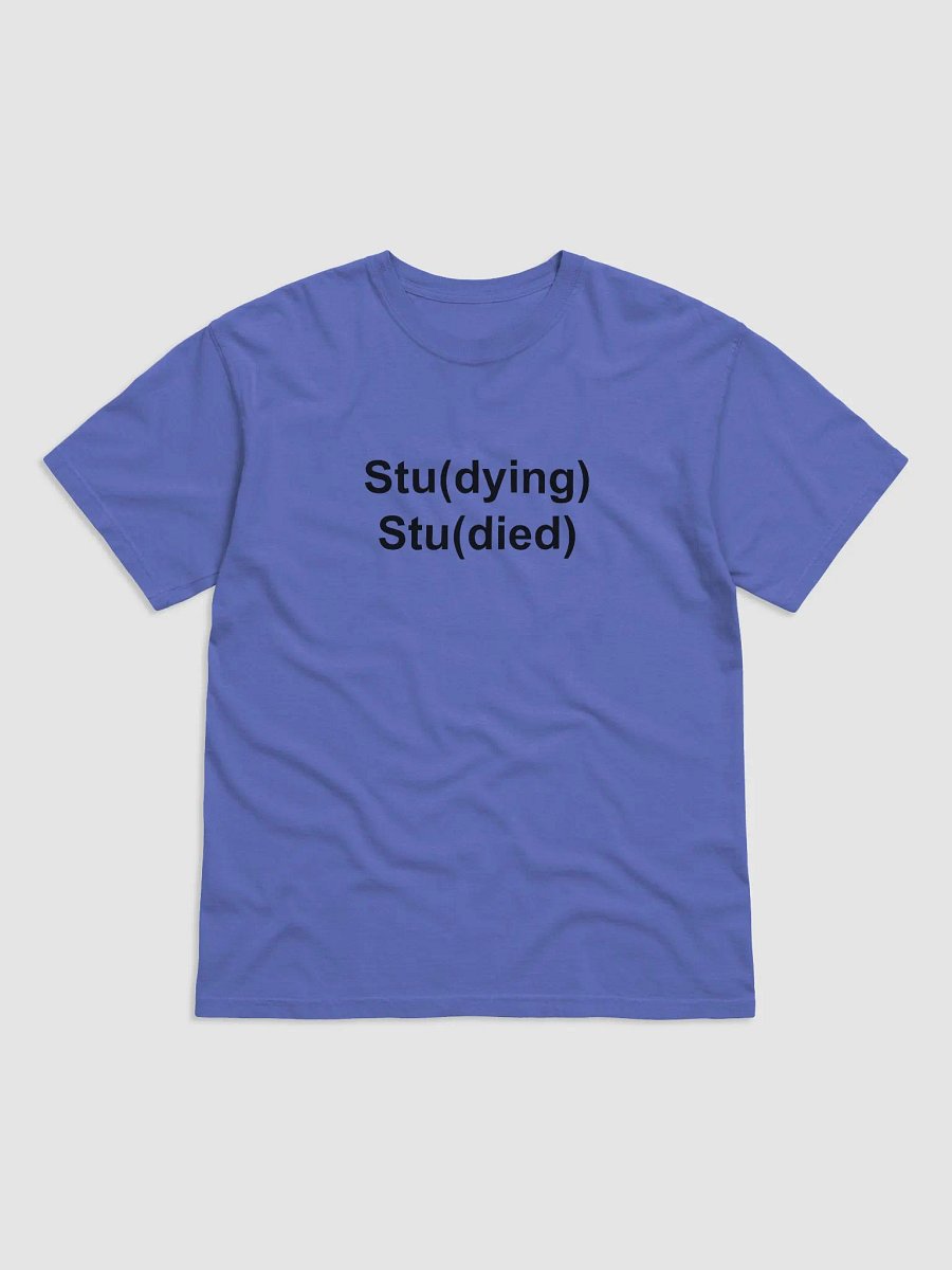 Stu(dying) Stu(died) Garment-Dyed Heavyweight T-Shirt product image (1)