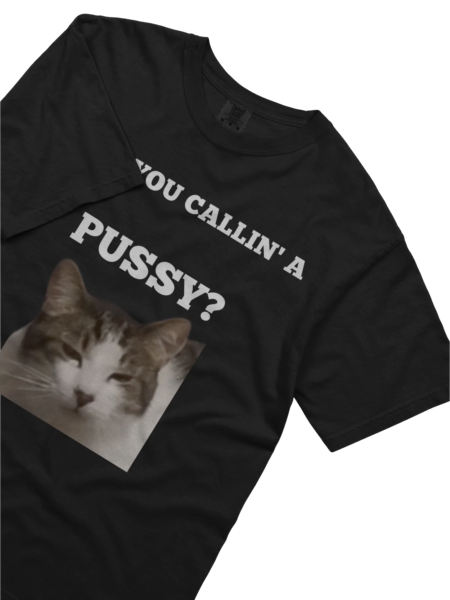 Cat product image (5)