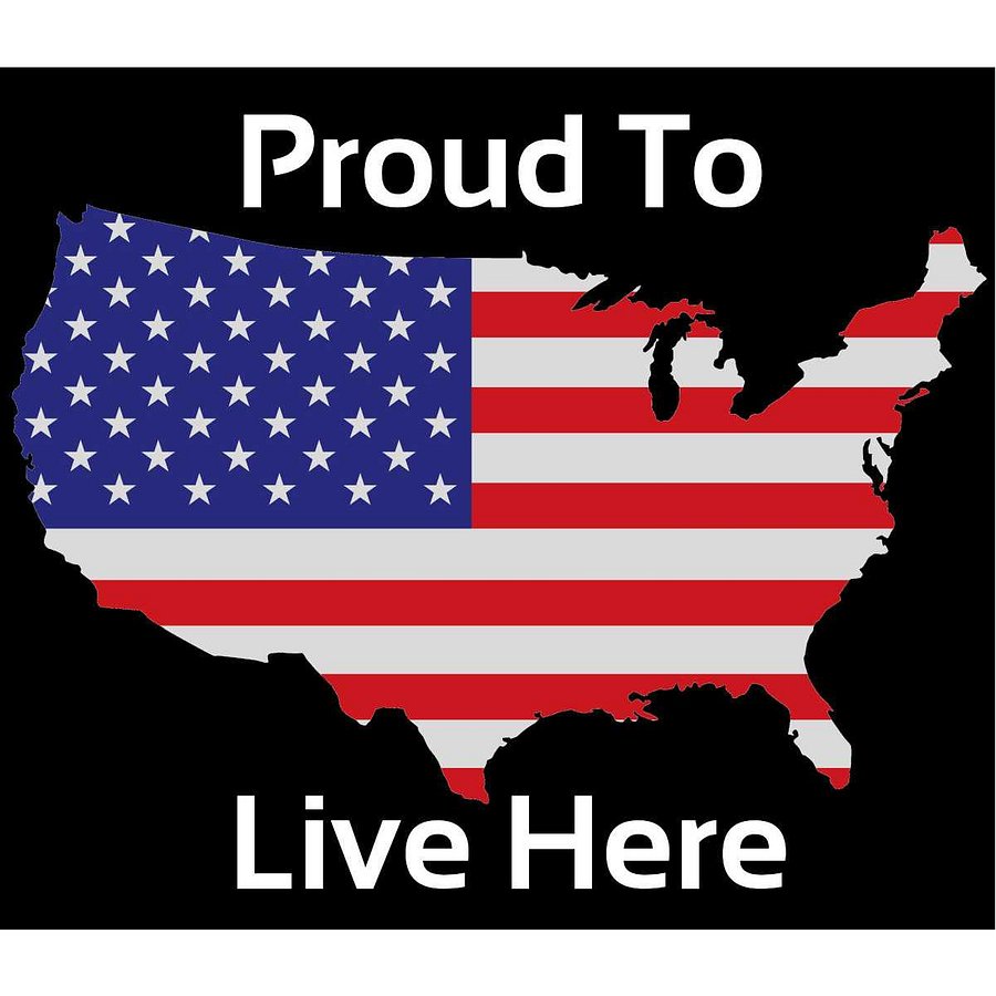 Proud to Live Here - A United States Patriotic T-Shirt product image (2)
