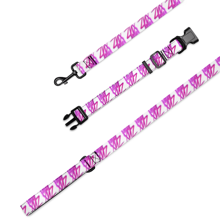 VirialXYZ Pet Collar & Leash Set product image (2)