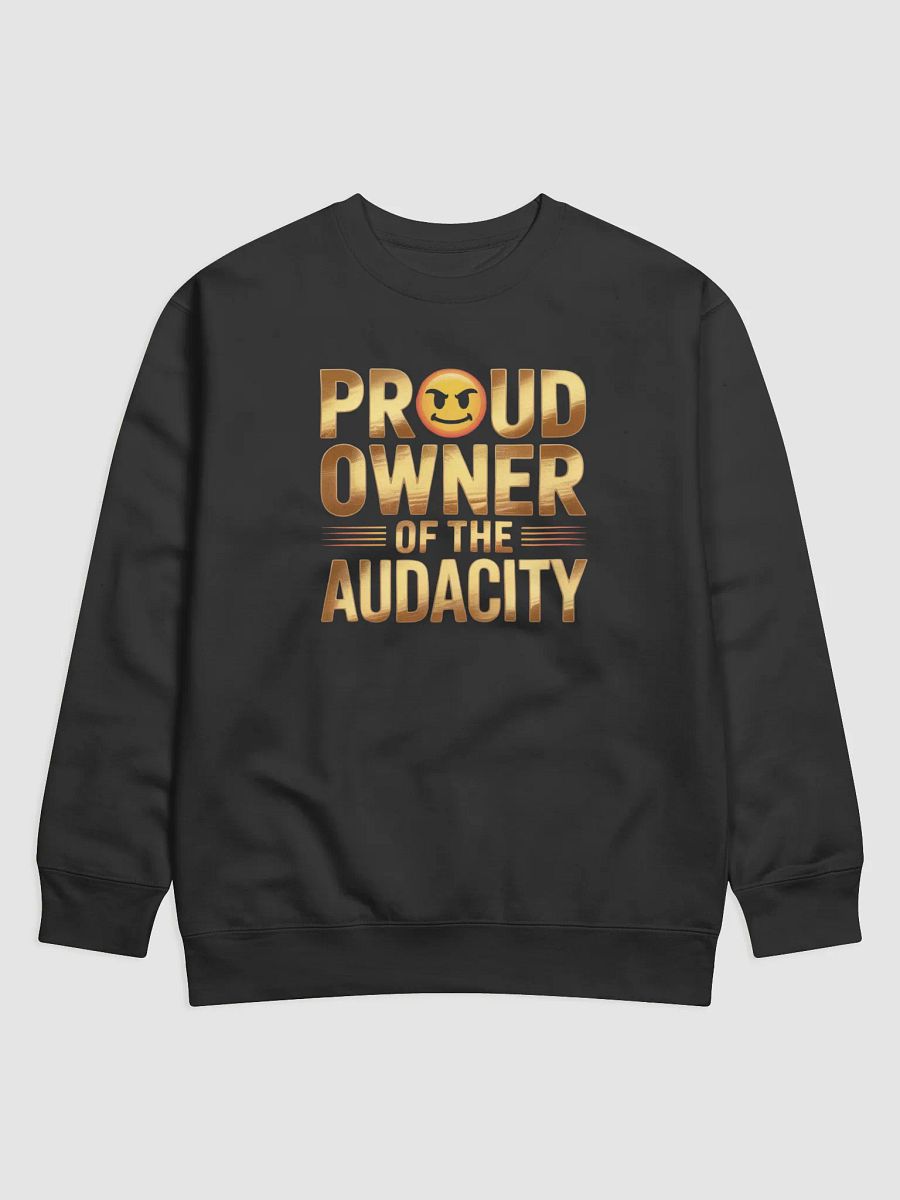 Audacious Owner Cotton Sweatshirt product image (1)
