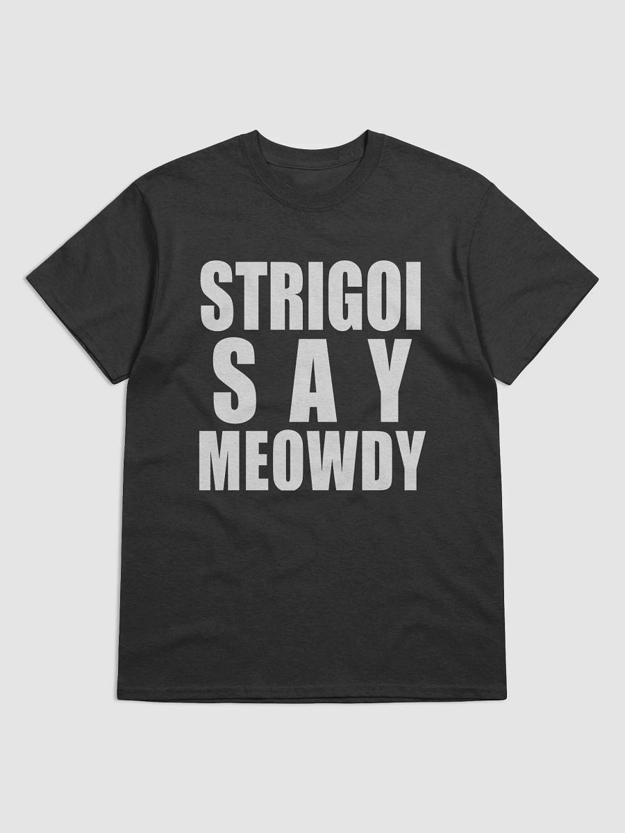 STRIGOI SAY MEOWDY HEAVYWEIGHT TEE product image (1)