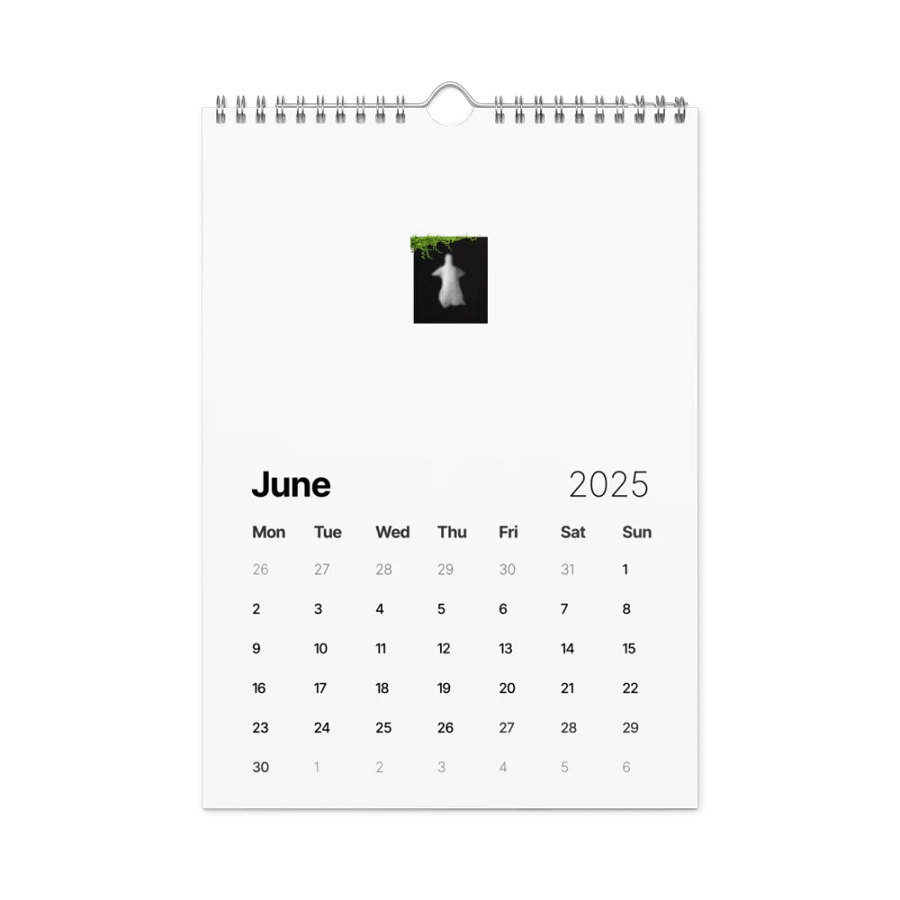 Dave The Ghost Calendar V1! product image (8)