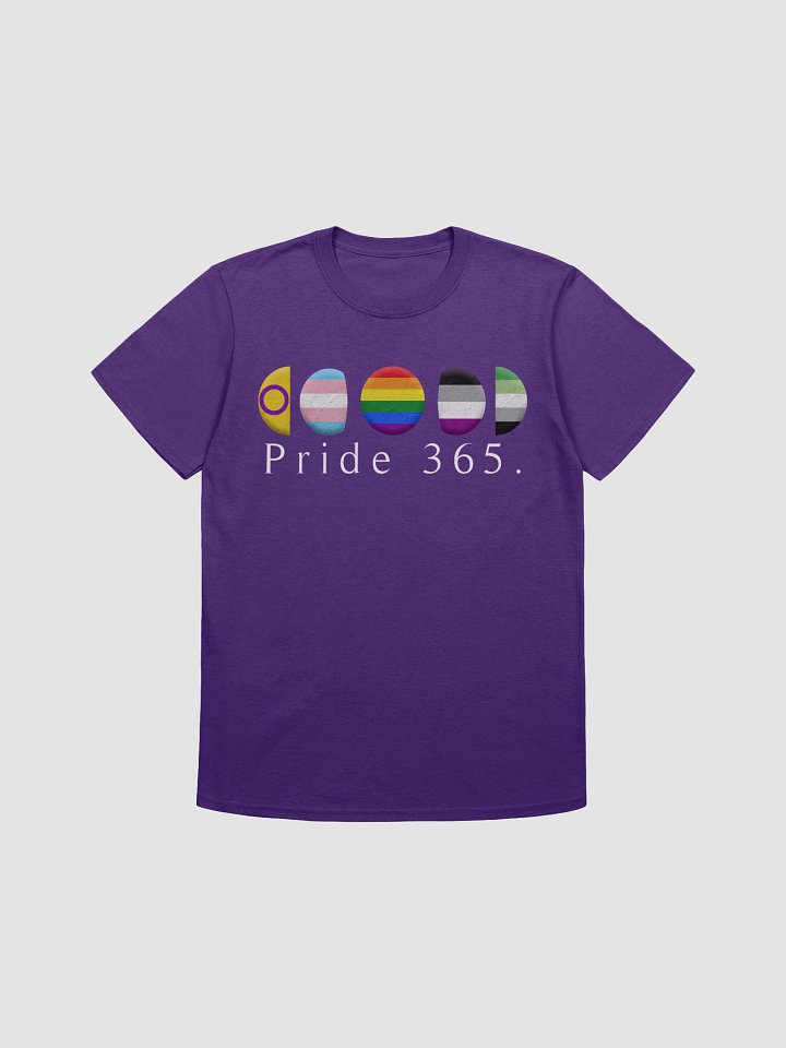 Pride 365 Tee product image (2)