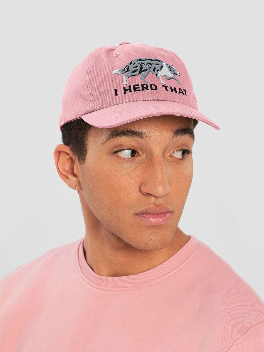 I Herd That Classic Dad Hat(Embroidered) of a Border Collie(Blue Merle) product image (27)